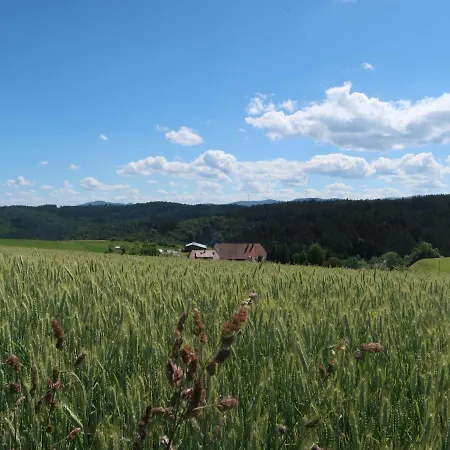 Mittelberghof By Interhome * Hofstetten