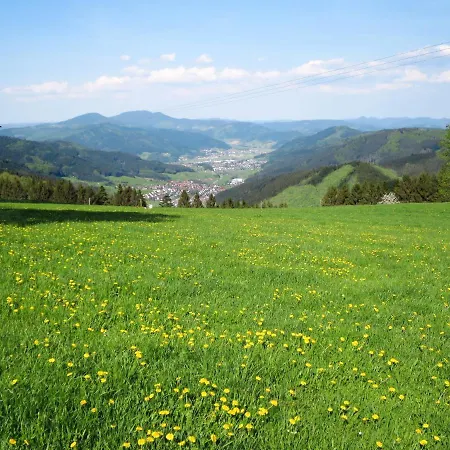 Mittelberghof By Interhome * Hofstetten